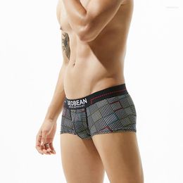 Underpants 3pcs/lot SEOBEAN Mens Underwear Boxer Shorts Cotton Men Trunks Boxers Sexy Low-waist Wear Man
