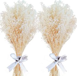 Faux Floral Greenery Dried Flower Baby's Breath Bouquet White Babys Breath Real Gypsophila Bundles Natural Dry Flower Floral Wedding Home Party Decor 230617