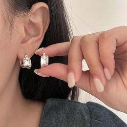 Hoop Earrings 925 Silver Needle Simple Irregular Colour High Quality Jewellery Crystal Huggies Women Fashion Gifts