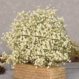 Faux Floral Greenery Dried Flowers Babys Breath Bouquet Ivory White Flowers Natural Gypsophila Branches for Home Decor Wed Floral Dry Bulk for Vase 230617