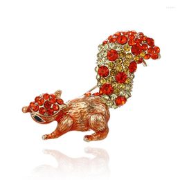 Broschen 2023 Niedliche Strass Rotes Eichhörnchen Anstecknadeln Brosche Damenmode Emaille Abzeichen Legierung Schmuck Zubehör Corsage Geschenk