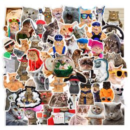 66Pcs Cute Cat Stickers, Funny Cat Vinyl Stickers Decals for Laptop Water Bottle Phone Luggage, Sticker for Kids Teens Boys Girls L50-391