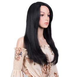 Human Hair Wigs For Women Highlight Coloured Wigs Lace Wig Straight Brazilian Hair Wigs 24 Inch Long Wig