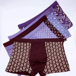 Underpants 5PCS Modal Underwear Sexy Men's Comfy Silky Trucks Boxer Panties Boxers Factory Direct Wholesale