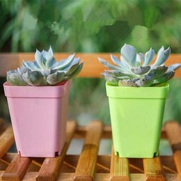 Planters Pots 20pcs Mini Basin Square Flower Pot Garden Plant Succulent Plant Trays For Home Livingroom Office Decoration Garden Supplies R230620