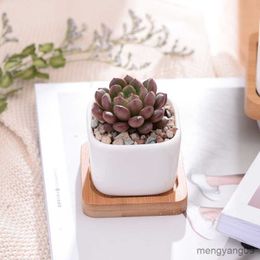 Planters Pots Geometic White Ceramic Square Bonsai Planter Little Succulent Flowerpots Modern Small Cactus Vases Bamboo Tray Office Decor R230620