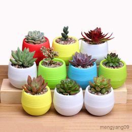 Planters Pots Plant Desktop Potted Plastic Flowerpot Flower Vase 2023 Solid Colour Mud Holder Succulent Plant Pot Small Green Plant Flowerpot R230620