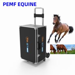 4Tesla Equine PEMF Therapy Magnetic Physiotherapy Device Treatment for a Variety of Equine Conditions