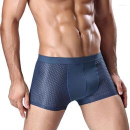 Underpants Arrival Manview Male Panties Breathable Sexy Mesh U Pouch Men Boxer Shorts Underwear K099