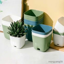 Planters Pots Creative Succulent Plant Pot Flower Pot Plastics Planter Container with Drain Hole Tray Flowerpot Figure Home Garden Decorative R230620