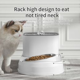 Cat Bowls Feeders 2in1 Water Fountain Automatic Cats Drinker and Feeding Bowl 3L Recirculate Filtring Pet Drinking Dispeneser 230620