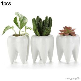 Planters Pots 1Pcs Tooth Shaped Tabletop Ceramic Flowerpot Home Furnishings Cute Succulent Cactus Flower Pot Plant Nursery Basin Table Vase R230620