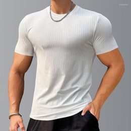 Men's T Shirts Men Muscle Short-sleeved Fitness T-shirt Men's Pullover Solid Colour Shirt Stripe Tops