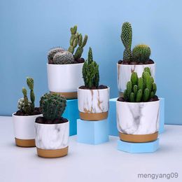 Planters Pots 3pcs Succulent Plant Pot Double-layer Succulent Green Dill Round Double Layer Green Plant Flowerpot Succulent Small Flower Pot R230620