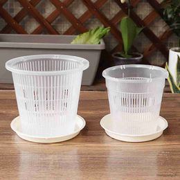 Planters Pots 11cm/14cm Root Control Transparent Flower Pot For Phalaenopsis Orchid Cattleya Planting With Stomata Flower Pot For Home Decor R230620