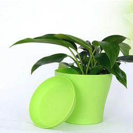 Planters Pots Buah Pot Bunga Taman Pembibitan Penanam Plastik Rumah Kantor Permen untuk Menanam Pot Sukulen Bunga Dekoratif