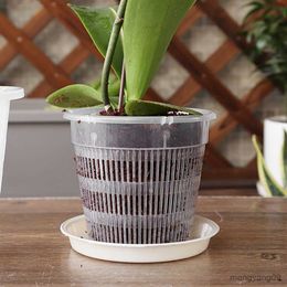 Planters Pots 1 pc Root-controlled Transparent Flowerpot for Orchid Cattleya Planting with Stomata Flowerpot Plastic Flowerpot Home Decoration R230620