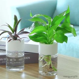 Planters Pots Pot tanaman Pot tanaman plastik transparan Pot rumah kantor Pot bunga Bonsai R230808