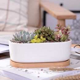 Planters Pots Set Minimalis Putih Succulent Tanaman Pot Porselen Planter Dekoratif Desktop Pot Bunga Rumah Pot nampan)