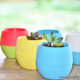 Planters Pots Colour Flower Pots Mini Flowerpot Garden Colour Mini Plant Small Flower Pot For Office Decoration Home Decoration R230620