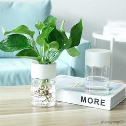 Planters Pots Transparent Hydroponic Flower Pot Water Planting Vase Container Plastic Tabletop Plants Bonsai Home Decoration R230620