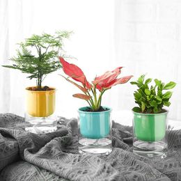 Planters Pots Simplicity Transparent Macaron Colour Straight Potted Plants Automatic Water Absorption Flowerpot Resin R230620