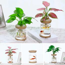 Planters Pots Mini Flower Pot Hydroponic Flower Vases Transparent Soilless Plant Pots Indoor Table Desktop Fish Tank Green Plants Home Decor R230620