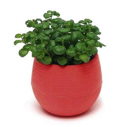 Planters Pots Pengiriman Drop!! Lucu Tanaman Sukulen Pot Bunga Piring Nampan Penanam Rumah Taman