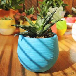 Planters Pots Cute Succulent Plants Flower Pot Saucer Tray Planter Home Desk Garden Decor R230621