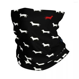 Bandanas Dachshund Winter Headband Neck Warmer Women Men Ski Camping Tube Scarf Badger Sausage The Wiener Dog Face Bandana Gaiter