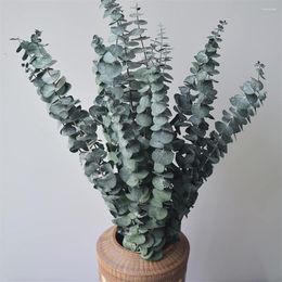 Decorative Flowers 10PCS Natural Dried Eucalyptus Bundle Preserved Fresh Branches Greenery Plants For Shower Decor