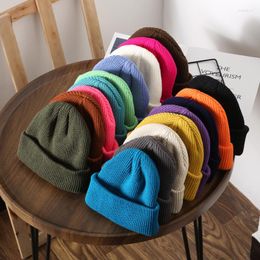 Visors Q22 Women's Autumn/Winter Rolled Knit Cap Outdoor Leisure Cold Insulation Warm Woolen Hat