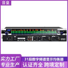 Professional 31 segment equalizer, home conference performance, bar, high, medium, and bass EQ tuner, noise reduction digital Equaliser