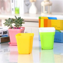 Planters Pots Colorful plastic plant pots square flower plate creative Garden home Decor lazy flower flower pots for succulents