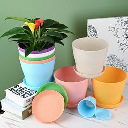 Planters Pots Pot Tanaman Plastik Tahan Lama Warna-warni Pot Tanaman Resin Pot Tanaman Bunga Pemegang Pot Bunga Mini Taman Rumah Kantor