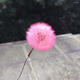 Decorative Flowers 3-4cm/2pcs Natural Preserved Real Dandelion Craft With Wire Branch Flower Art DIY Wedding Party Home Decoration