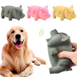 Chew Training Pets Accessories Bite Teeth Cleaning Squeak Rubber Sound Pig Dog Chew Toys Latex Pet Chew Toys