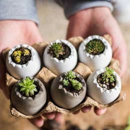 Planters Pots Small Ceramic Flower Pot Durable Creative 6Pcs Eggshell Mini Succulent Planter with Base Home Garden Bonsai Flowerpot Decor R230621