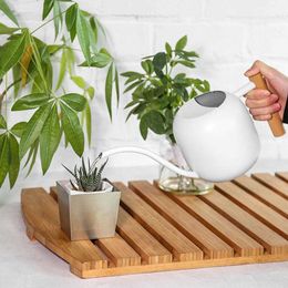 Planters Pots 1000ML/1200ML Watering Can with Long Spout Stainless Steel Large Capacity Wooden Handle Indoor Plants Flowers Watering Pot