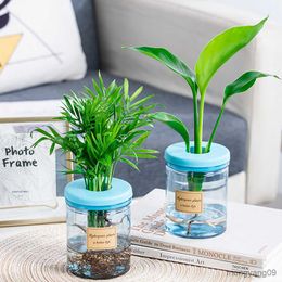 Planters Pots Hydroponic Plant Pot Practical Replacement Transparent Plastic 1pcs Accessories Durable Flower Pot High Quality R230621