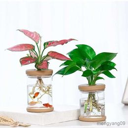 Planters Pots Transparent Hydroponic Flower Pot Glass Soilless Planting Potted Green Plant Resin Flower Pot Home Decor R230621