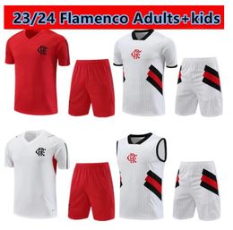 23/24 Flamenco Football Jerseys Football Jersey Set 2023/2024 Flamenco Men Short Sleeve Sweatshirt