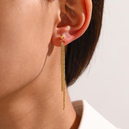 Dangle Earrings Simple Designer S925 Sterling Sliver Post Gold Plated Long Tassel Chain Drop For Ladies Jewellery