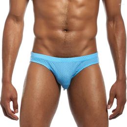 Underpants 3 PCS 2023 Arrival Men Briefs Solid Mesh Silk Polyester Sexy Underwear Breathable Comfortable Gay Bikini Selling Panties