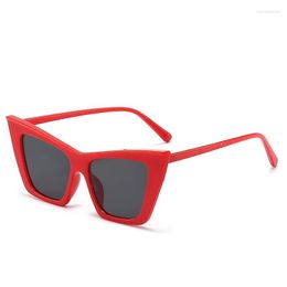 Sunglasses Square Cat Eye For Women Fashion Vintage Trendy Cateye