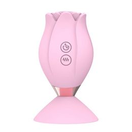 Magnetic suction charging vibration egg jumping double vibrator female 75% Off Online sales