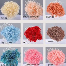 Decorative Flowers Natural Fresh Preserved Hydrangea Dried Flower Garden Decoration Outdoor Christmas Decorations For Home 2023