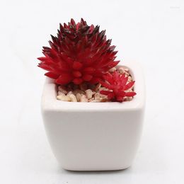 Decorative Flowers Simulated Plant Faucaria Tigrina Artificial Succulent Plants Bonsai Random Variety Without Flower Pot