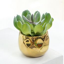 Decorative Flowers Portable Artificial Potted Long Lasting Wide Application Useful Succulent Plants With Ceramic Pots