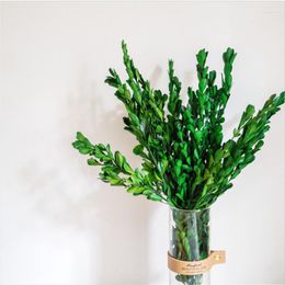 Decorative Flowers Artificial Plants Everlasting Boxwood Headdress DIY Leaves Wedding Party Decoration Home Decorations